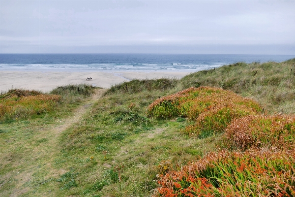 Beach landscape sea coast Photo