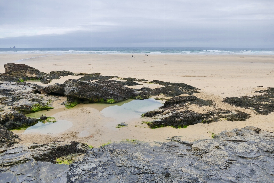 Beach landscape sea coast