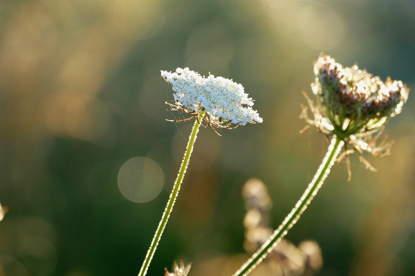 Landscape water nature grass Photo