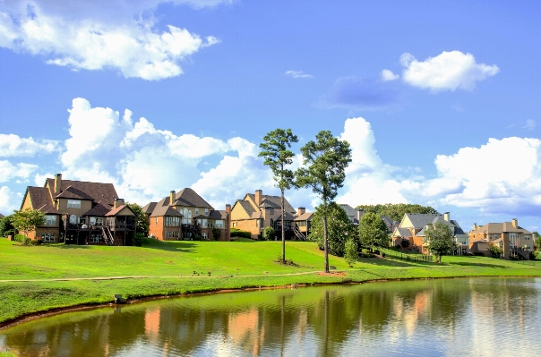 Landscape nature structure lawn Photo