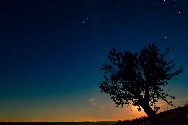 Foto Lanskap langit malam bintang