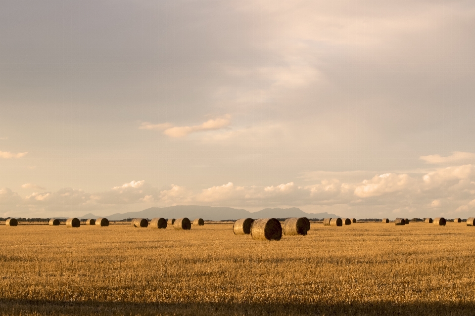 Paisagem ar livre horizonte nuvem