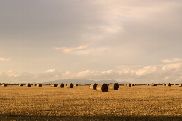 Landscape outdoor horizon cloud Photo