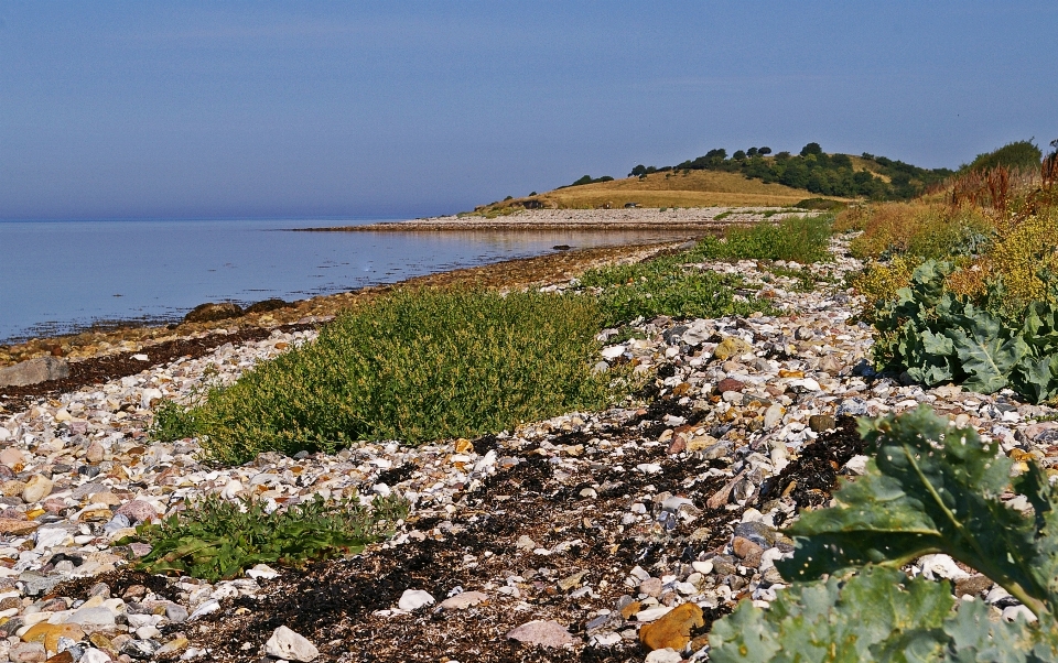 пляж пейзаж море побережье