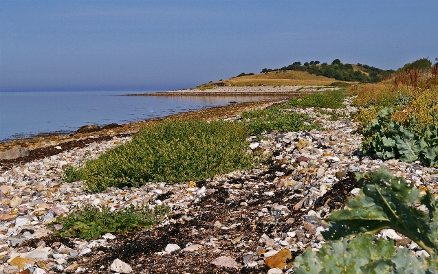 Beach landscape sea coast Photo