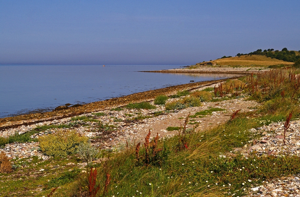 Beach landscape sea coast