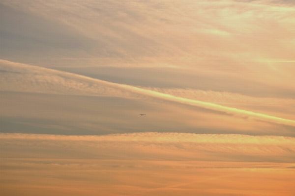 Nature horizon light cloud Photo