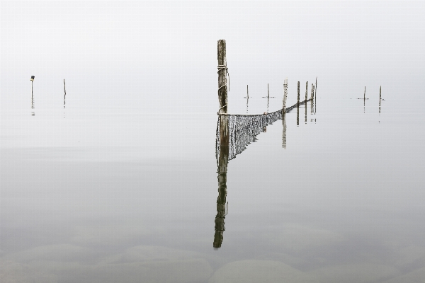 Foto Mare acqua natura nevicare