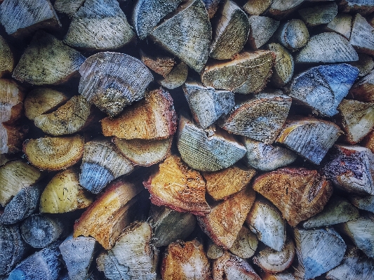 Nature rock wood texture Photo