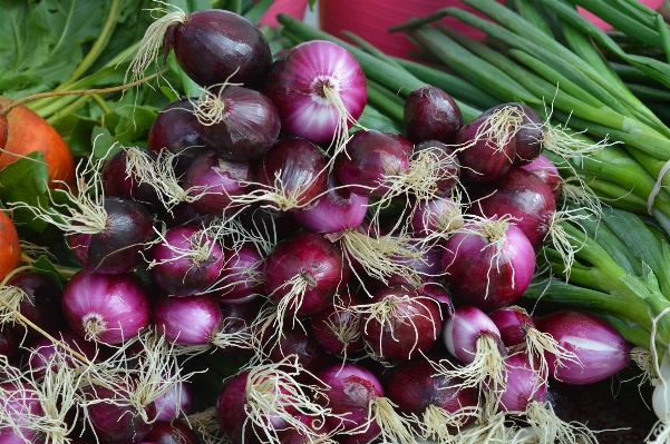 Foto Tanaman bunga makanan merah