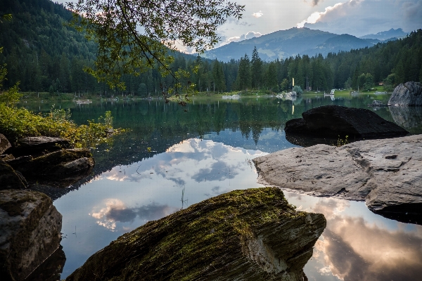 Landscape tree water nature Photo