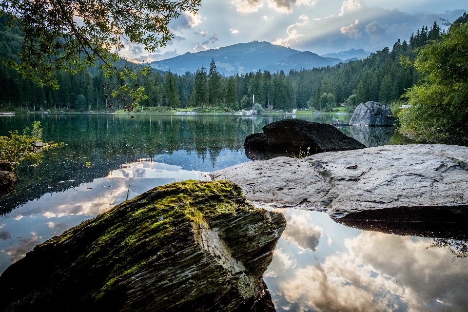 Landschaft baum wasser natur