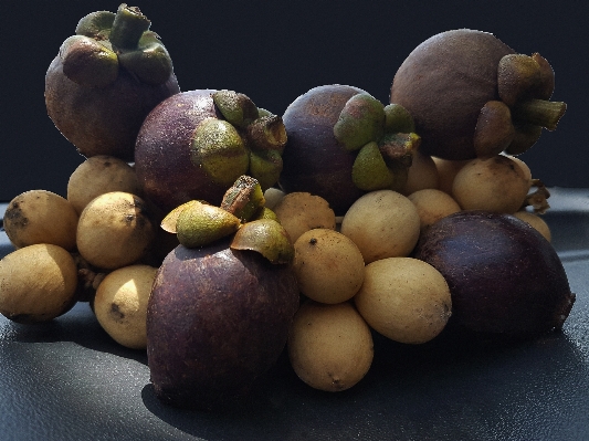 植物 フルーツ 紫 食べ物 写真