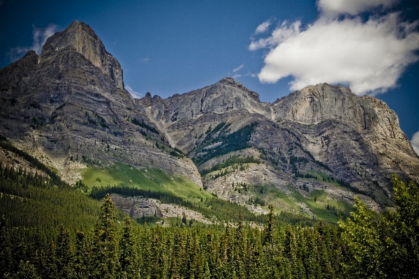 Landscape tree nature outdoor Photo