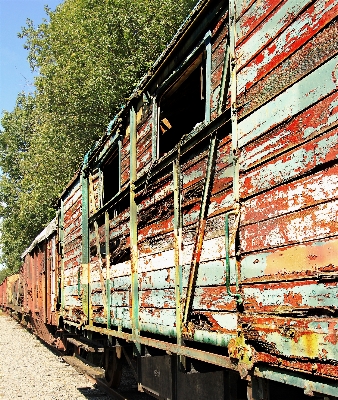 Wood track railway wagon Photo