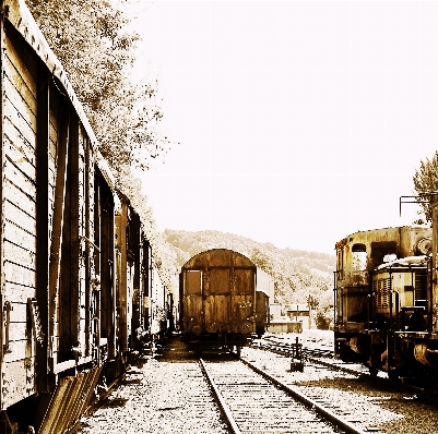 Wood track railway wagon Photo