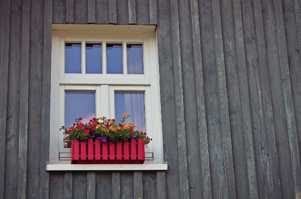 Architecture wood house flower Photo