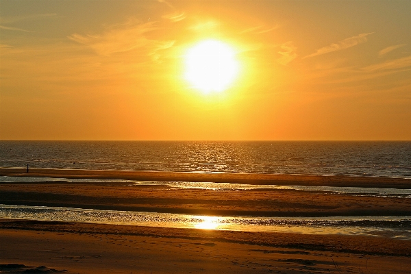 Beach sea coast nature Photo