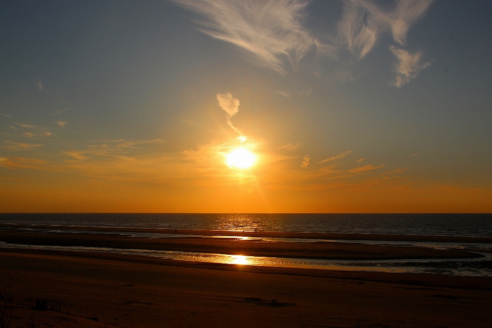 Beach sea coast nature