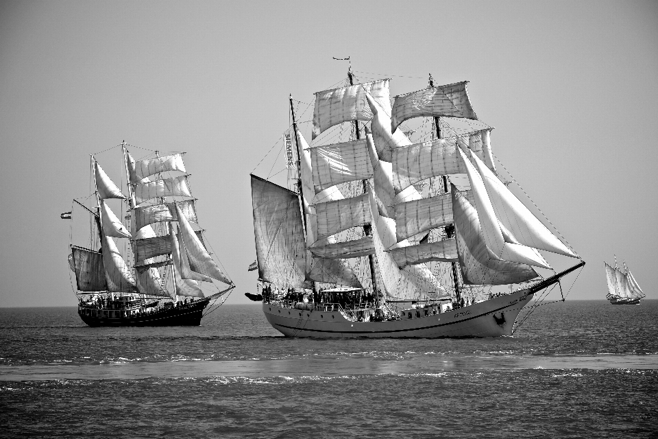 Bianco e nero
 barca nave veicolo