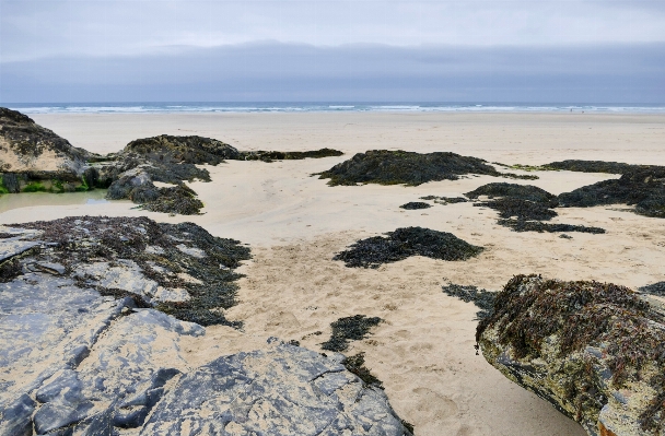 Beach landscape sea coast Photo