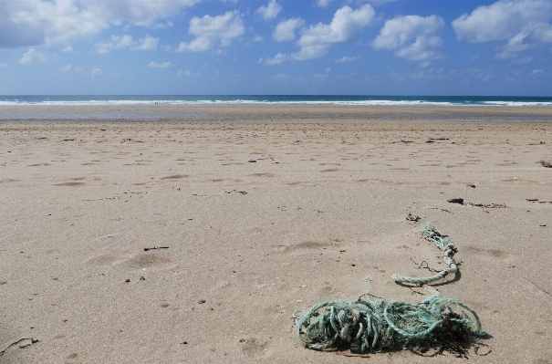 Beach sea coast water Photo