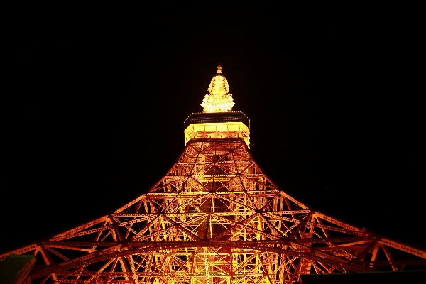 ライト 夜 旅行 タワー 写真