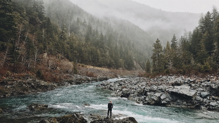 Man landscape nature forest Photo