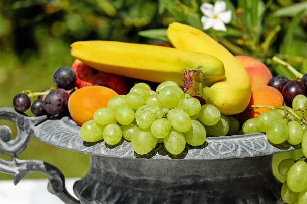 Plant grape fruit food Photo