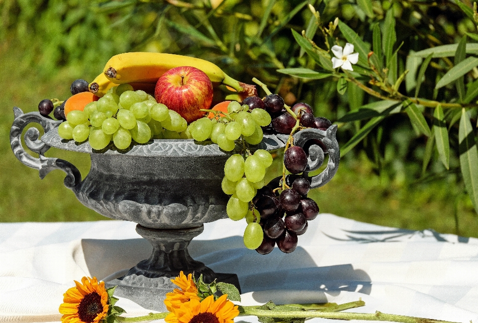 Plant fruit flower summer