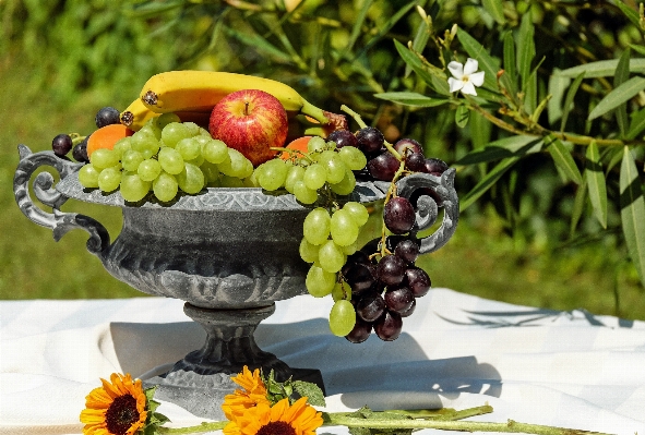 Foto Plantar fruta flor verão