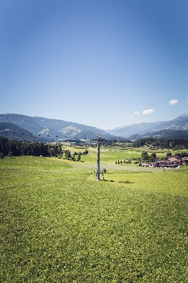 Landscape tree nature forest Photo