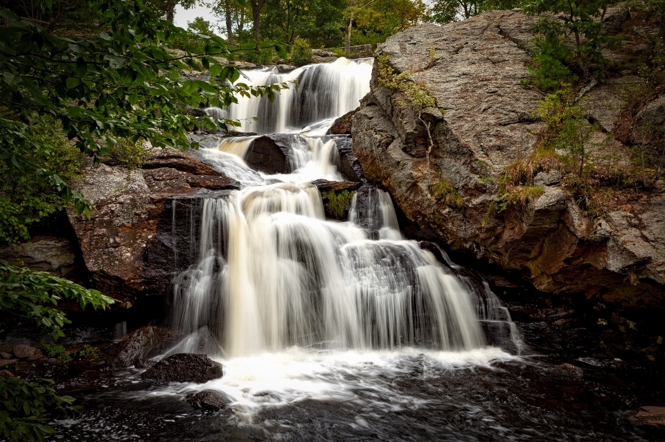 Landscape water nature forest