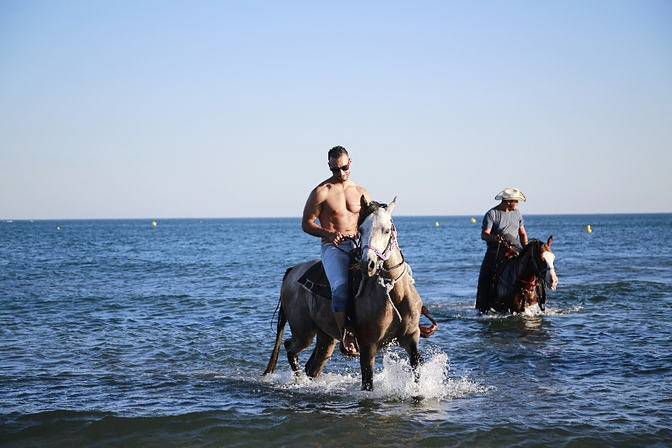 пляж море побережье природа