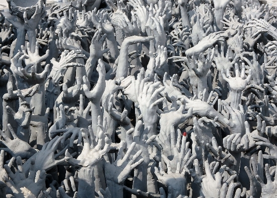 Bird architecture white crowd Photo