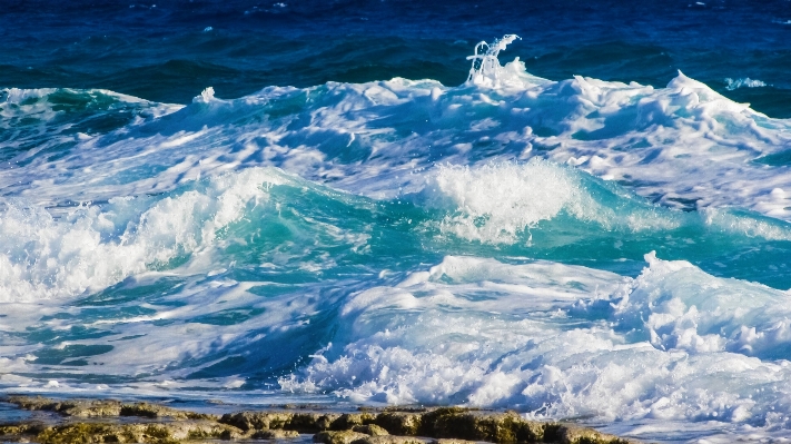 Beach sea coast nature Photo