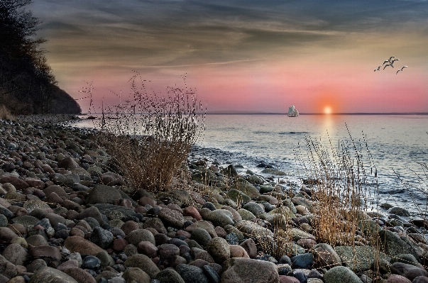 Beach landscape sea coast Photo