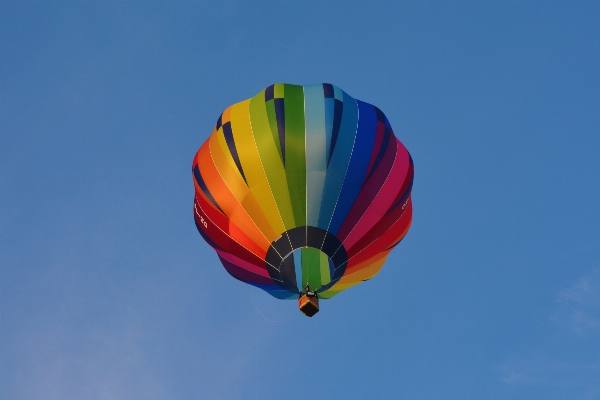 Sky air flower balloon Photo