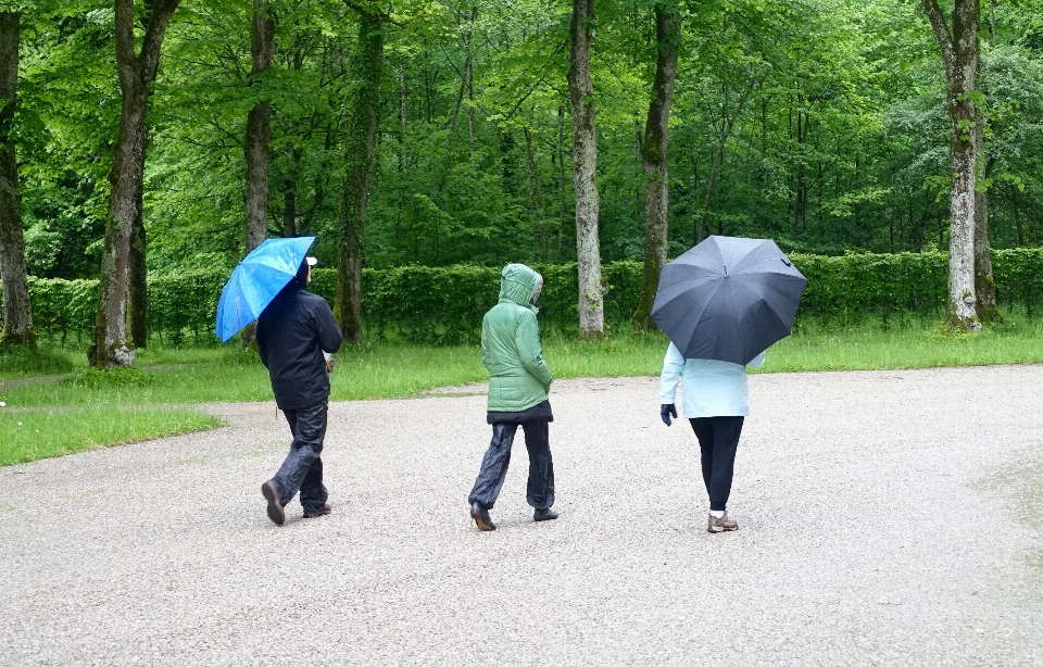 Caminando gente lluvia paraguas