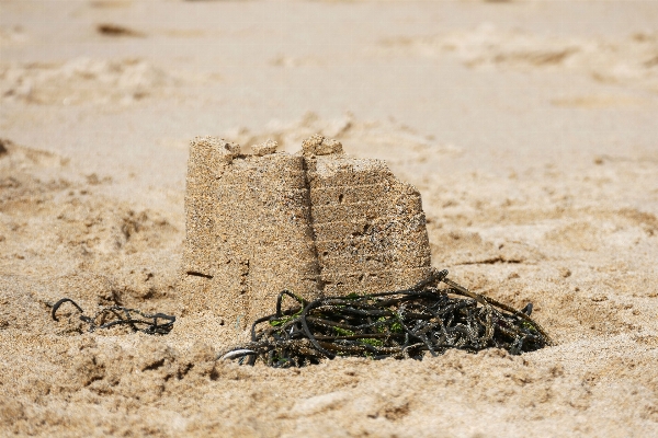 ビーチ 海 海岸 水 写真