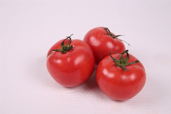 Plant fruit food red Photo