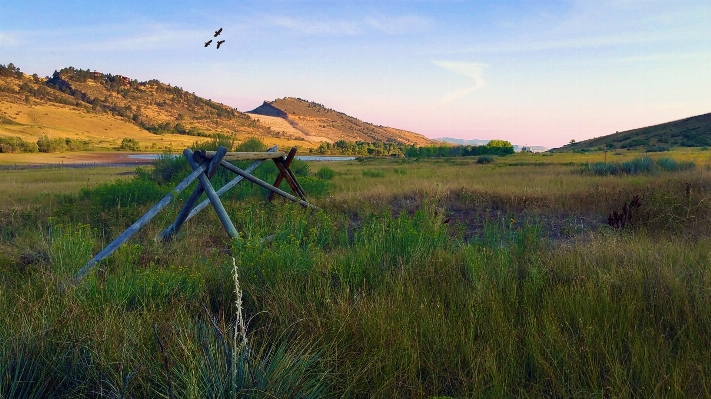 Landscape nature path grass Photo