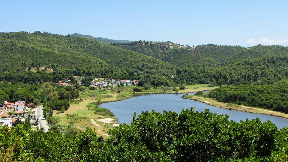 Paysage nature forêt rivière