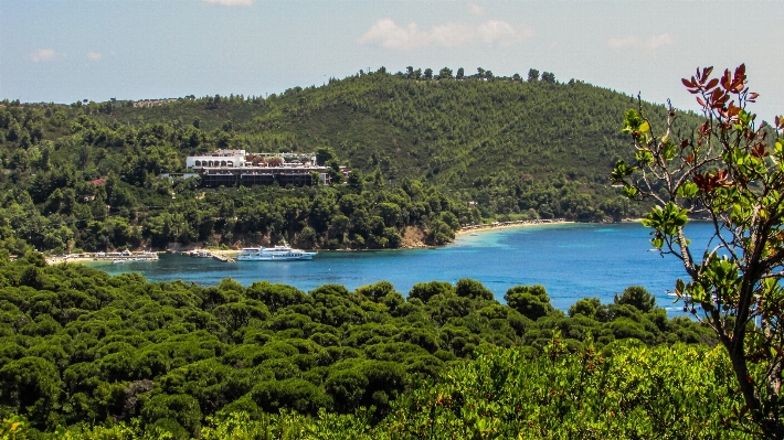 Landscape sea coast nature Photo