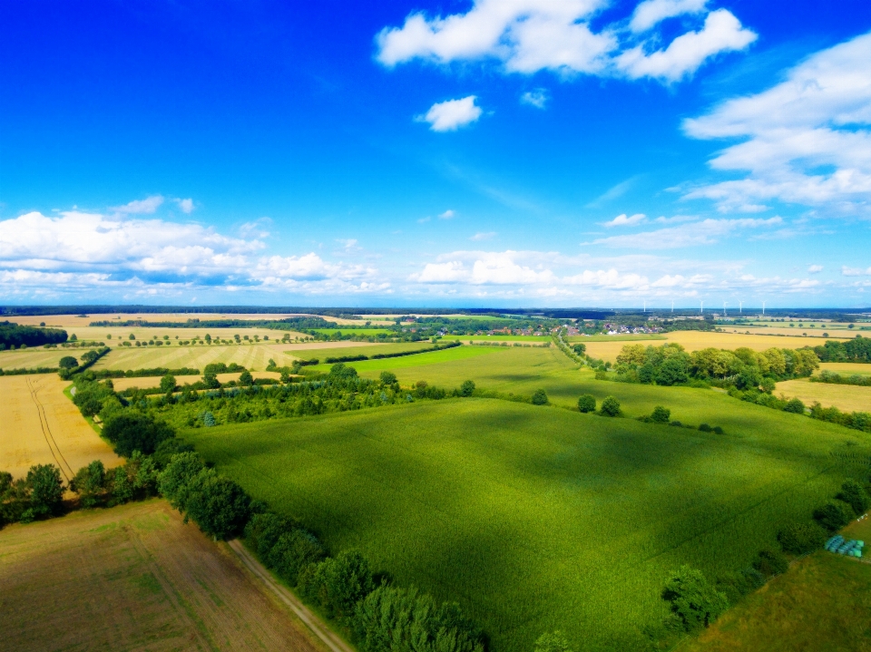 Landscape grass horizon marsh