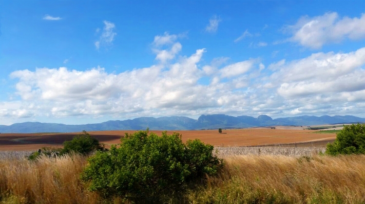 Landscape nature horizon marsh Photo