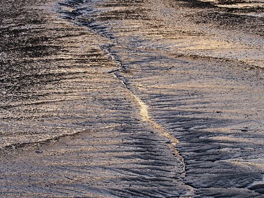 Beach sea coast water Photo