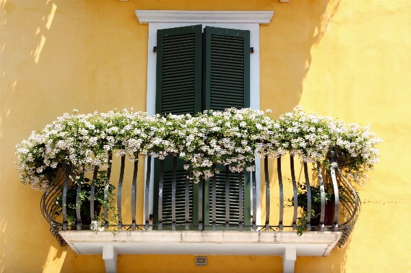 Flower window home balcony Photo