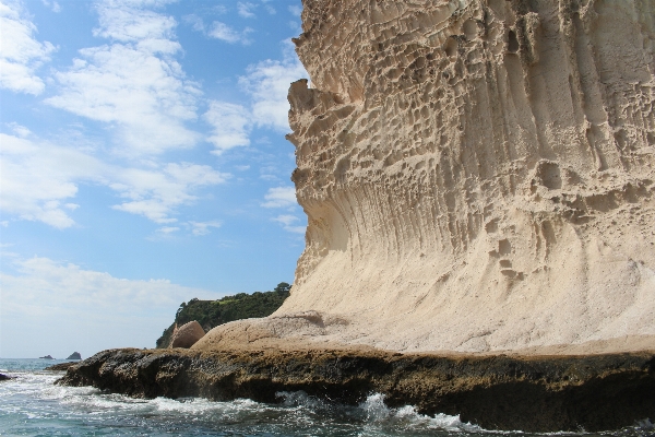 Landscape sea coast tree Photo