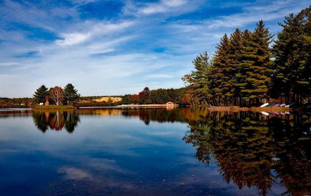 Landscape tree water nature Photo